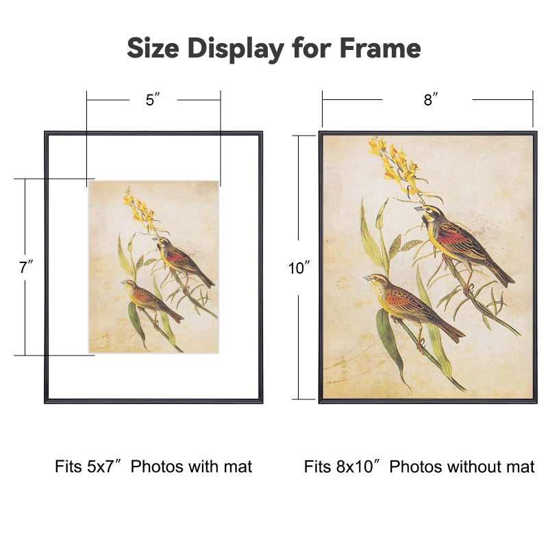 Fkvat 8x10 Picture Frame, Matte Black Modern Thin Aluminum Metal Photo Frame with HD Glass, Fits 5x7 with Mat or 8 x 10 without Mat, for Tabletop and Wall Mounting, 1 Pack - Image 2